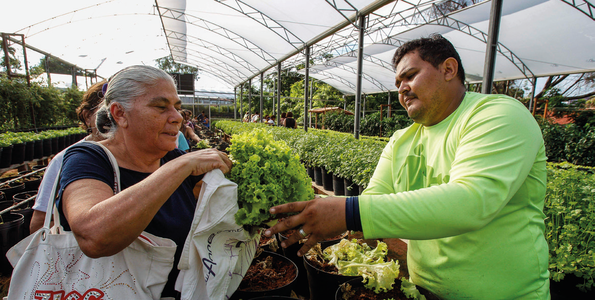 AGRICULTURA URBANA EM FORTALEZA